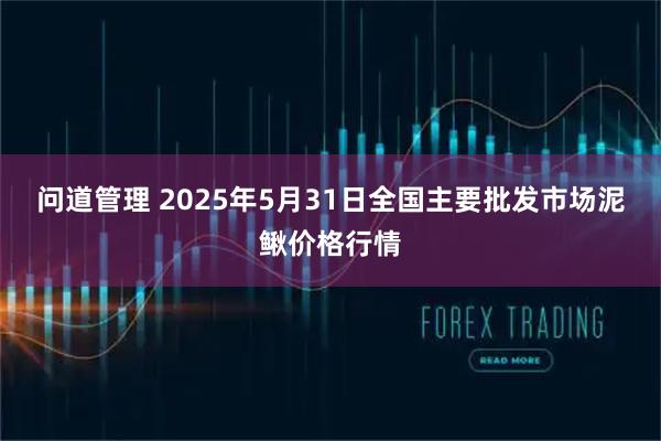 问道管理 2025年5月31日全国主要批发市场泥鳅价格行情