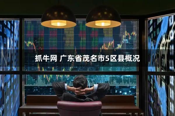 抓牛网 广东省茂名市5区县概况