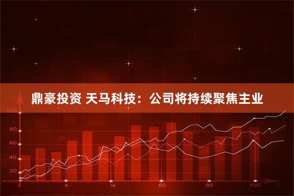 鼎豪投资 天马科技：公司将持续聚焦主业