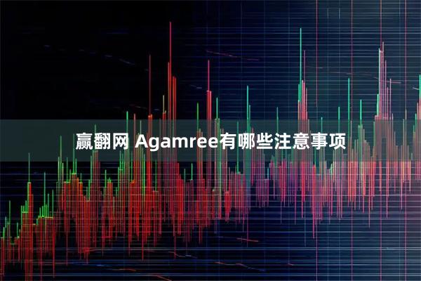 赢翻网 Agamree有哪些注意事项